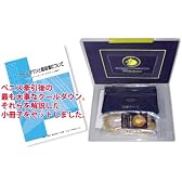 ペニス増大・男性器増大牽引器具　ペニストロング　クールダウン小冊子付き【メール便送料無料】