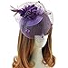 Women's Fascinator Clip Veil Cocktail Tea Party Church Hat Bridal Headpiece Purple