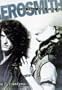 The Fall and Rise of Aerosmith (Classic rock reads)