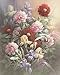 wallsthatspeak 2 New Hummingbird Art Prints Floral Posters Wall Decor