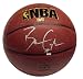 Ben Gordon Autographed I/O Basketball