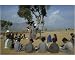 10x8 Photograph (25x20cm) Two school girls separated from the boys at a village by Robert Harding