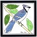 BLUE JAY TILE, BLUE JAY WALL PLAQUE, BLUE JAY TRIVET by Besheer Art Tile, Bedford, New Hampshire, U.S.A.