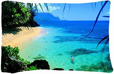 Microfiber Peach Standard Soft And Silky Decorative Pillow Case (20 * 26 Inch) - Landscapes Hawaii Island Landscape