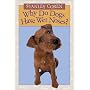 Why Do Dogs Have Wet Noses?