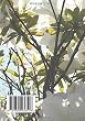 月の詩　五の月 2016 (MyISBN - デザインエッグ社)