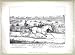 Lady Suffolk, Centreville Course, L.I., Friday, Aug. 3, 1849 (Reprint 24 x 18)