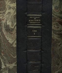 Anatomie topographique du bassin