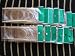 15 size 47" bamboo circular knitting needles pins US 0-15