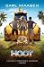 Hoot (Paperback)