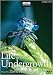 Life in the Undergrowth DVD