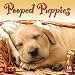 Pooped Puppies 2008 Wall Calendar