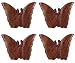 Set of 4 Indian Handcrafted Butterfly Mystery Box Puzzle Toys - Wooden Games for Kids - Birthday Gift Idea -6 x 2 x 4 Inches RS.9499.00