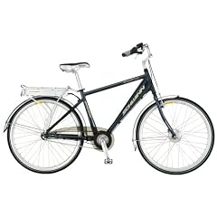 Schwinn E Bike Transit Men Li-Po Pedelec