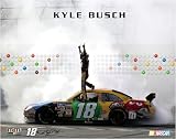 Kyle Busch 22x28 Poster