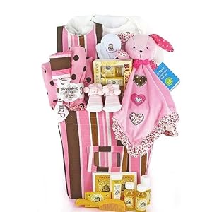 Trendy Pink & Brown New Baby Girl Gift Basket - Great Valentines Day or Easter Gift Idea for Newborns