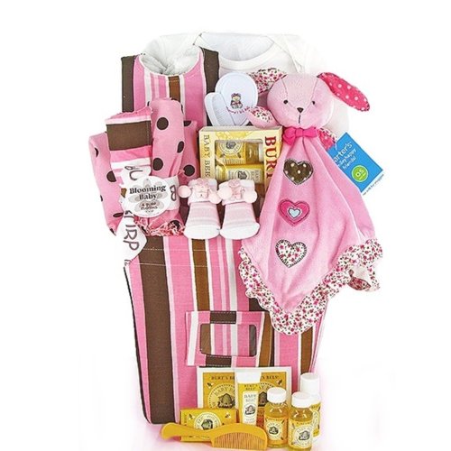 Trendy Pink & Brown New Baby Girl Gift Basket - Great Valentines Day or Easter Gift Idea for Newborns
