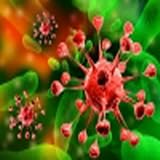 A Quick Guide to Yeast Infection for Women