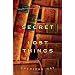 The Secret of Lost Things