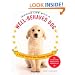Imagine Life with a Well-Behaved Dog: A 3-Step Positive Dog-Training Program