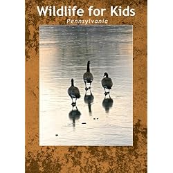 Wildlife for Kids