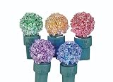 GKI Bethlehem Lighting 25-Light Sugar Coated G20 LED Light Set, Multi Colored Bulbs, Green Wire