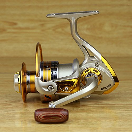 10bb saltwater freshwater fishing spinning reel 5.5 1 ef5000 Daiwa BG this reel is equipped with Battle Iv technology Penn Battle IV Spinning Reel