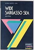 Jean Rhys, Wide Sargasso Sea
