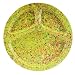 Zak Designs Confetti 11-1/4-inch Kiwi Divided BBQ Plate, Set of 6