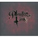 Phantom Limb
