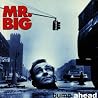 Image of album by Mr. Big