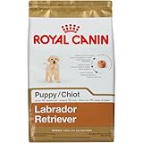 Royal Canin Labrador Retriever Puppy Dry Dog Food, 30-Pound Bag