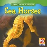 Sea Horses (Animals That Live in the Ocean)