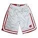 Search : Wisconsin Badgers Men's Transition Shorts