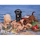 Return to product information