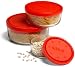 Bormioli Rocco Gelo Box 3-Piece Set with Red Lids