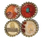Magnet Set 03 Friendship Citrine Cat Carnelian Chrysocolla Jasper 4 Stones
