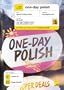 Teach Yourself One Day Polish (1CD + Guide) (TY: Language Guides)