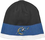 Washington Wizards Official Team Skully Hat