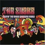Trippin' the Whole Colourful World