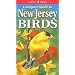 Compact Guide to New Jersey Birds