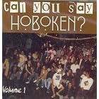 Can You Say Hoboken? Volume 1 by Fear of Falling, Oversouls, Oral Groove, Silly Rabbit, and Graytion
