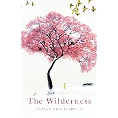 The Wilderness