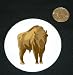 3 button / pin printed with bisonoxe, bison, zoo, endangered, european, captivity, mammal, american, animal, ungulate, species, bovine