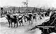 First Dog Team, Nome to Seward, Alaska, ca. 1910 Photograph - Beautiful 16"x20" Photographic Print from the Library of Congress Collection