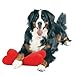 Zanies Mega-Color Plush Bone Dog Toys