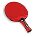 Sports : Tischtennisschl&auml;ger aus Verbundmaterial Tacteo 50