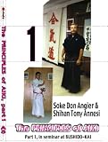 Principles of Aiki