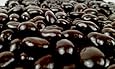 Dark Chocolate Covered Espresso Beans (1 Pound Bag)