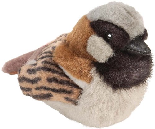 Childrens Toyshop  Toys : RSPB House Sparrow